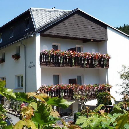 Pension Haus Waldfrieden, Meinecardplus Inklusive Willingen  Eksteriør bilde