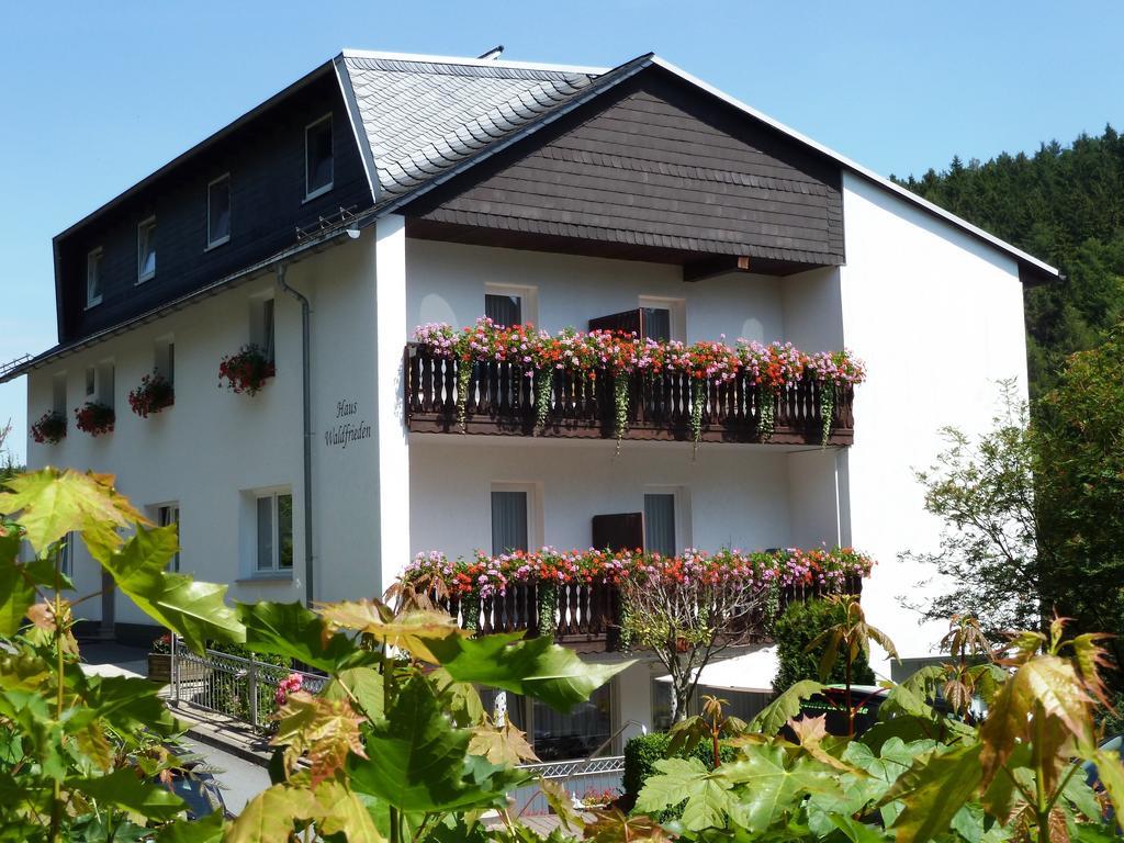 Pension Haus Waldfrieden, Meinecardplus Inklusive Willingen  Eksteriør bilde
