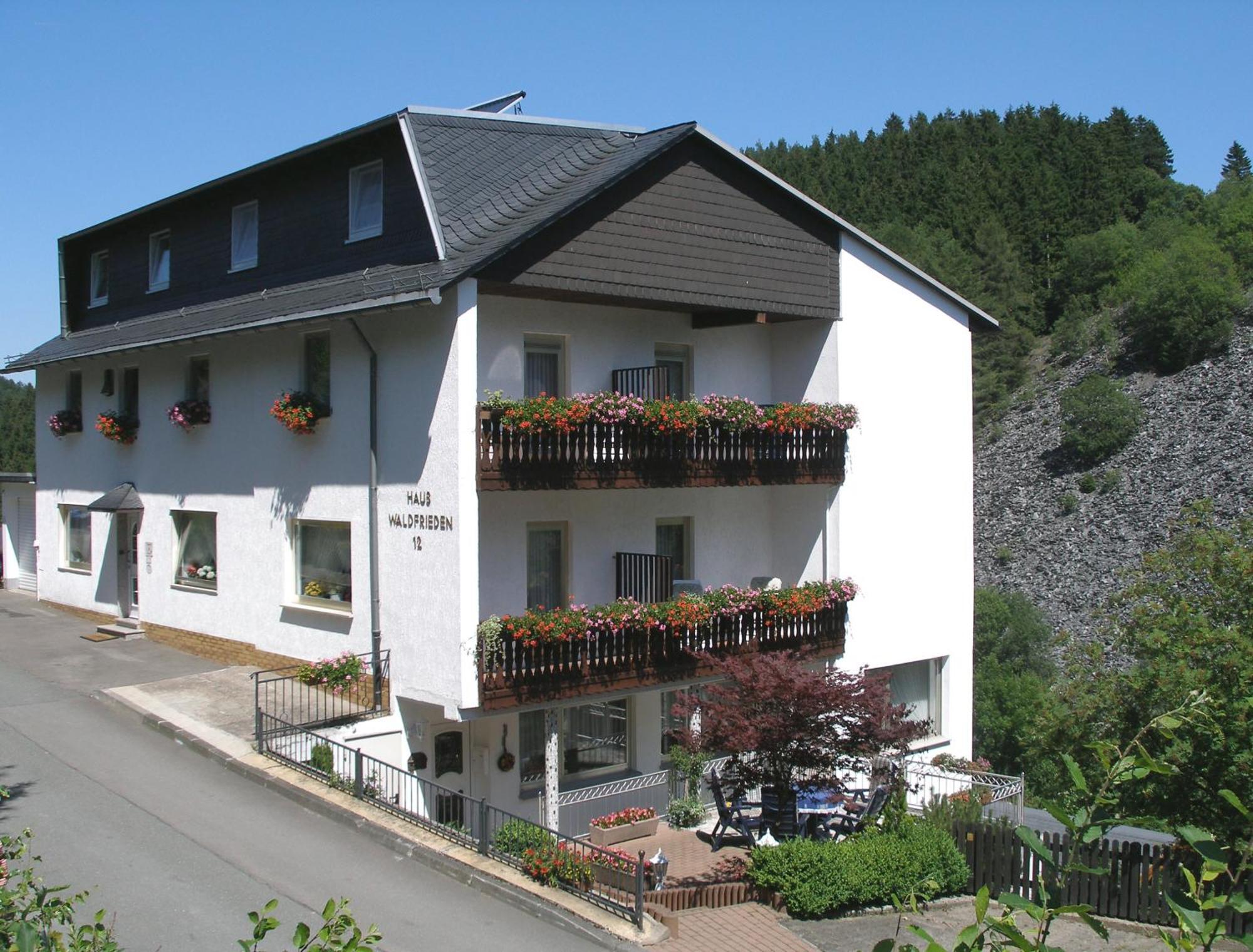 Pension Haus Waldfrieden, Meinecardplus Inklusive Willingen  Eksteriør bilde