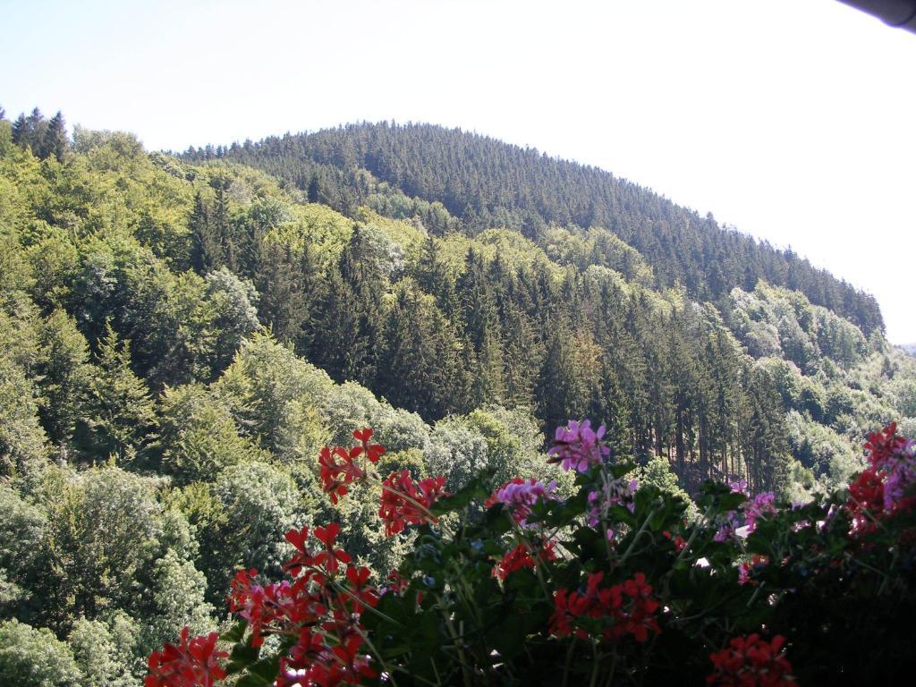 Pension Haus Waldfrieden, Meinecardplus Inklusive Willingen  Eksteriør bilde
