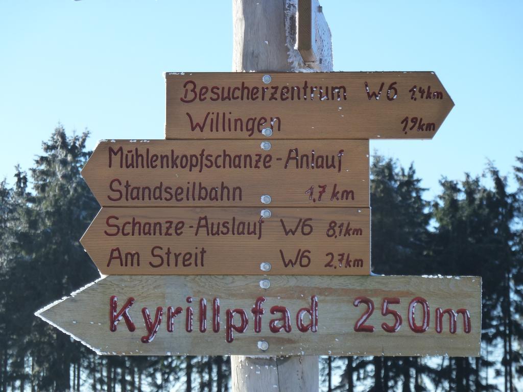 Pension Haus Waldfrieden, Meinecardplus Inklusive Willingen  Eksteriør bilde