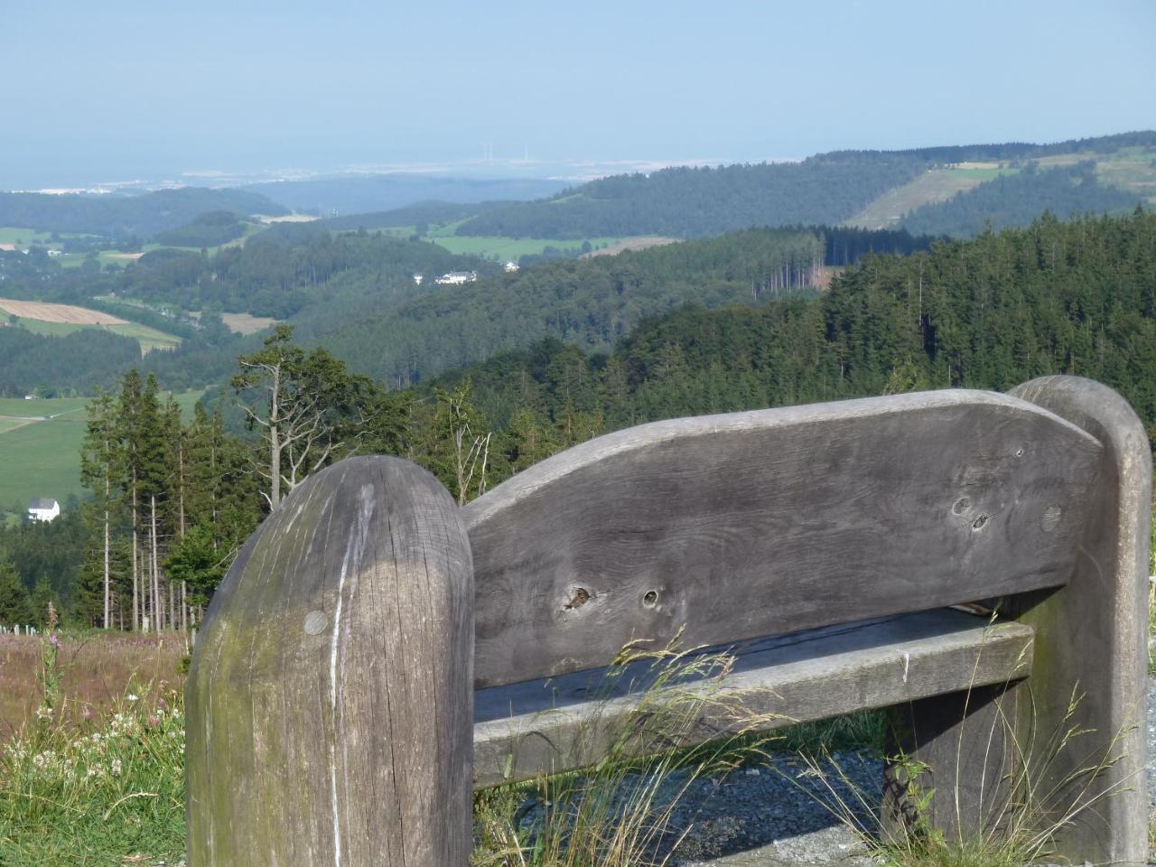 Pension Haus Waldfrieden, Meinecardplus Inklusive Willingen  Eksteriør bilde