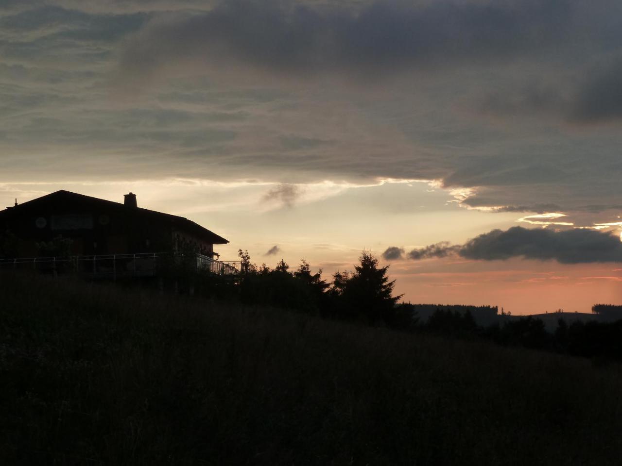 Pension Haus Waldfrieden, Meinecardplus Inklusive Willingen  Eksteriør bilde