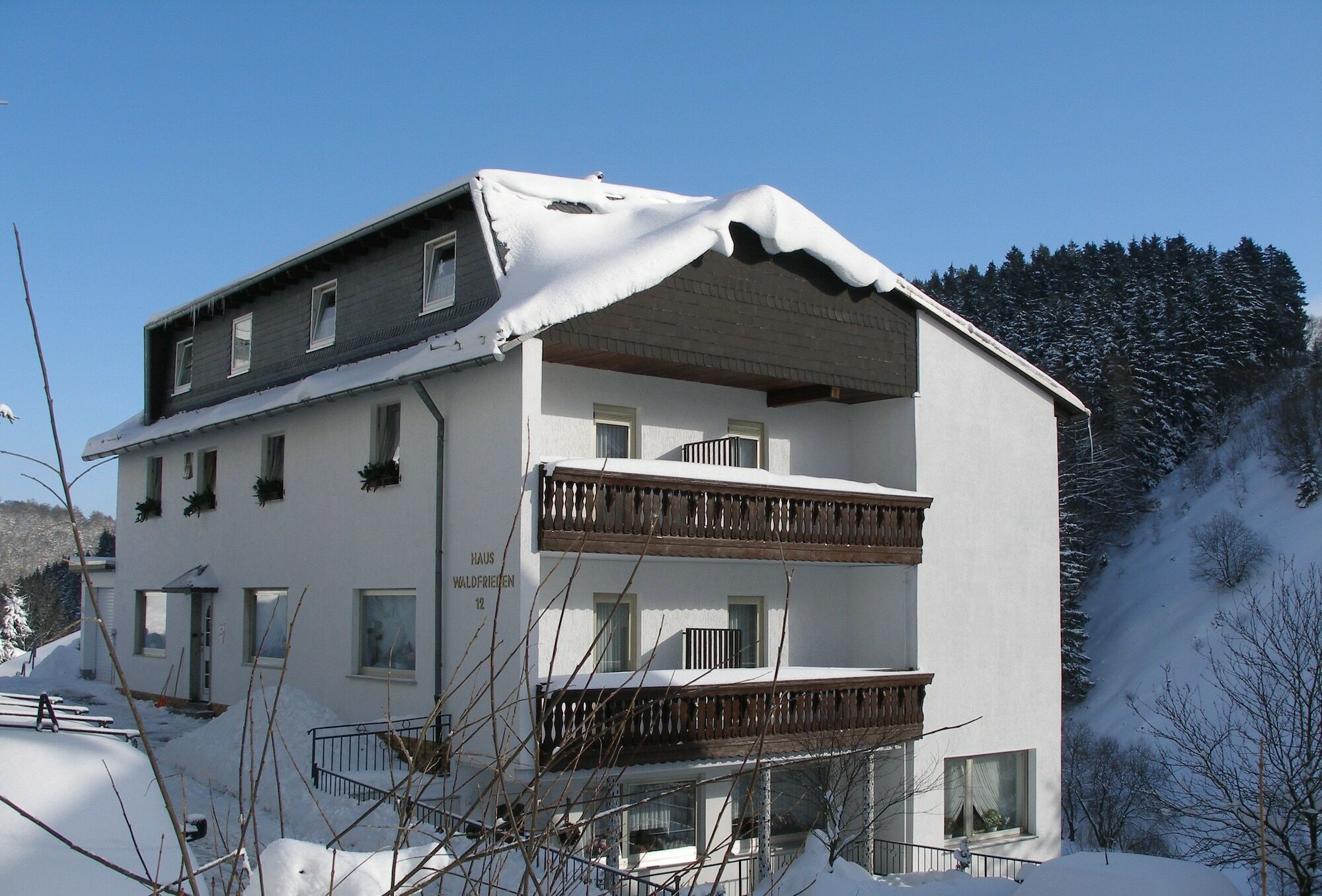 Pension Haus Waldfrieden, Meinecardplus Inklusive Willingen  Eksteriør bilde