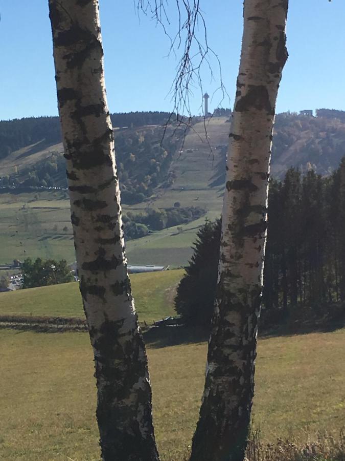 Pension Haus Waldfrieden, Meinecardplus Inklusive Willingen  Eksteriør bilde