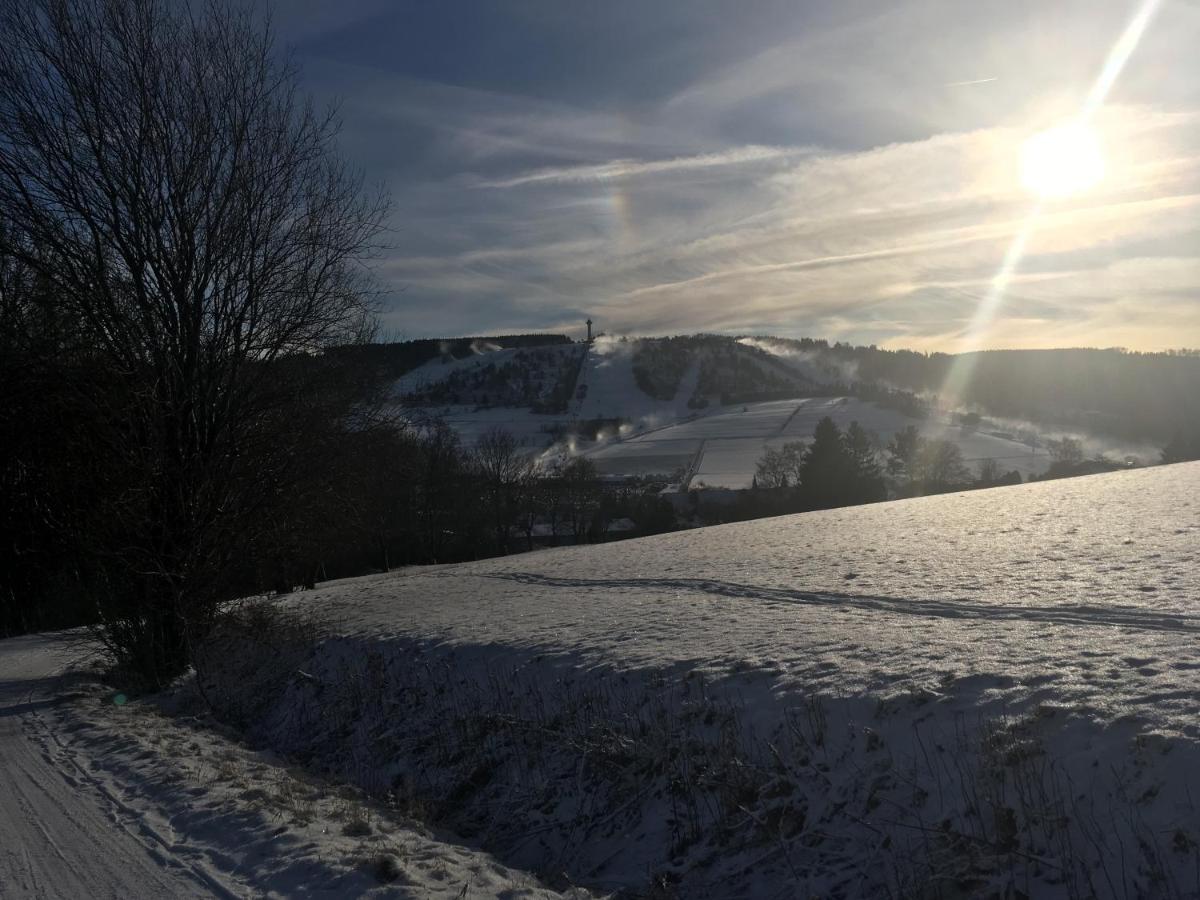 Pension Haus Waldfrieden, Meinecardplus Inklusive Willingen  Eksteriør bilde