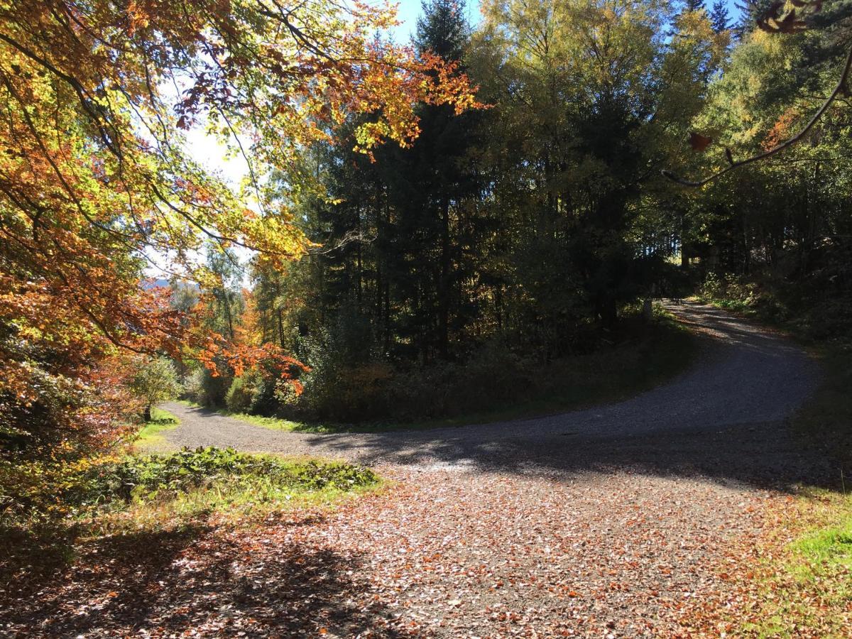 Pension Haus Waldfrieden, Meinecardplus Inklusive Willingen  Eksteriør bilde